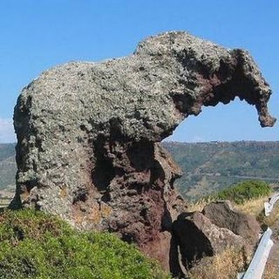 JasperDavidso11's profile picture. 