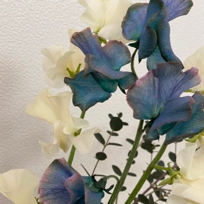 @268741_