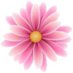 Arlene Nieves (@anieves_bnes) Twitter profile photo Arlene Nieves (@anieves_bnes) Twitter profile photo