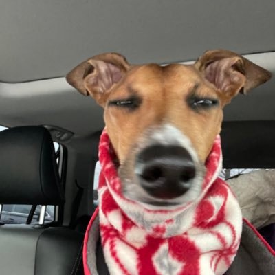 LSUDallas's profile picture. 