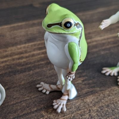 ms00632368's profile picture. 