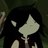 spontaneousryc's profile image