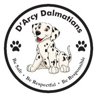 D'Arcy Dalmatians(@DArcy_CJUSD) 's Twitter Profile Photo