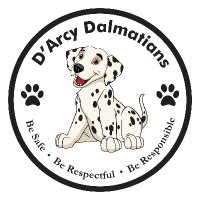 D'Arcy Dalmatians (@darcy_cjusd) 's Twitter Profile Photo D'Arcy Dalmatians (@darcy_cjusd) 's Twitter Profile Photo