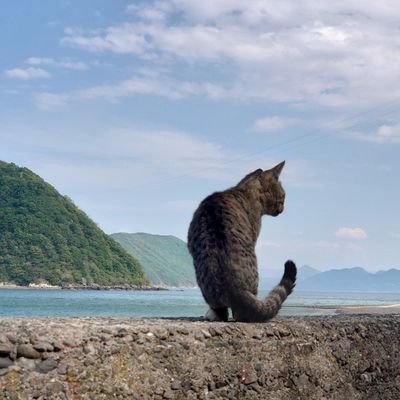 介護福祉士。ドラマ（特に考察系）・外国為替・高校野球に関するツイートが多くなるかと思います。智辯和歌山ファン。プロ野球は特定のチームではなく選手個人を応援（高校球児時代に思い入れのある選手など）