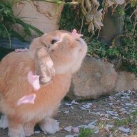 Aulll (@beurnunu) 's Twitter Profile