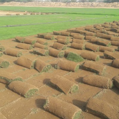 مشاتل ومزارع السهول الخضراء للنجيل الطبيعي والأشجار بجميع انواعها وأطوالها موقعنا طريق الليث مكه القديم
