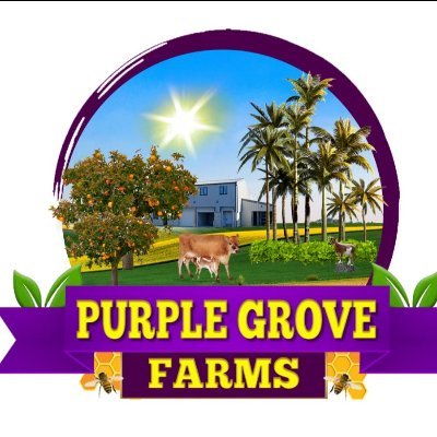 Purple_Grove's profile picture. Purple Grove Farms Ltd aims to grow a premier, integrated, eco-friendly agro-business that produces high-quality products and services.