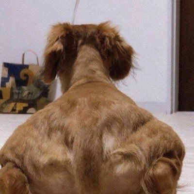 N__Att's profile picture. NYT best-selling author