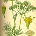 自然療法のススメ (@naturoempathy) Twitter profile photo 自然療法のススメ (@naturoempathy) Twitter profile photo
