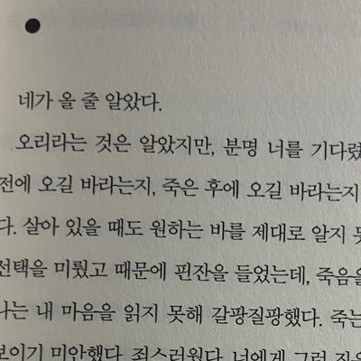 gimgeullim1's profile picture. 사진