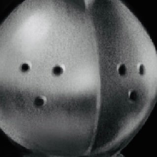 TheSallowYeild's profile picture. WHERE GOES THE WORM WHEN WINTER DRAWS CLOSE?