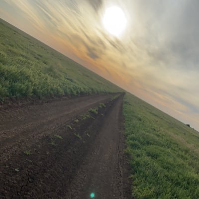 Austin_Hydro's profile picture. 