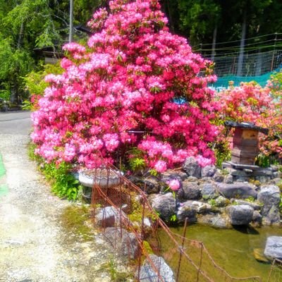 Take3Bさんのプロフィール画像