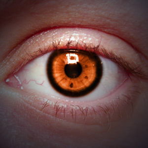 freddieventer's profile picture. 