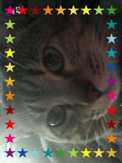 nandekomimi's profile picture. 初めまして、ミミと申します。よろしくね。