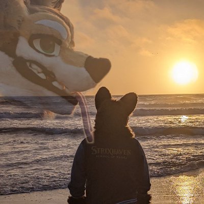 30/Norcal /gaming anime Warcraft nerd /magic player / fur suiter