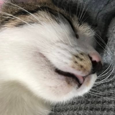 gentlegennyom's profile picture. 息子とともにNBAの視聴やカード収集を楽しんでいます！ 主な推し選手・収集対象はレブロン、ルカ、カリー、アント、日本人選手🏀ちなみに息子の推しはプール（ウィザーズ→ペリカンズ）🧐 これらの選手以外のカードは基本的に提供可能です🙆‍♂️是非お声掛けください😀提供カードをまとめてみました→#げん提供カード