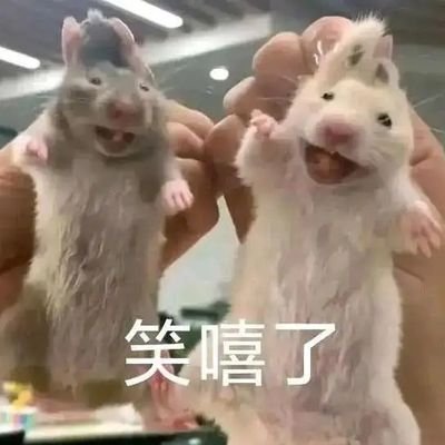 easyfungamefun's profile picture. 