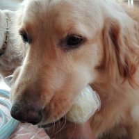 p (@peepannan) 's Twitter Profile