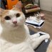 米米🔮大支聯會☀️🤍CORNコン🇭🇰 (@oddeyedcorn) Twitter profile photo 米米🔮大支聯會☀️🤍CORNコン🇭🇰 (@oddeyedcorn) Twitter profile photo