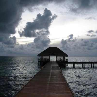 RanaMe994's profile picture. 