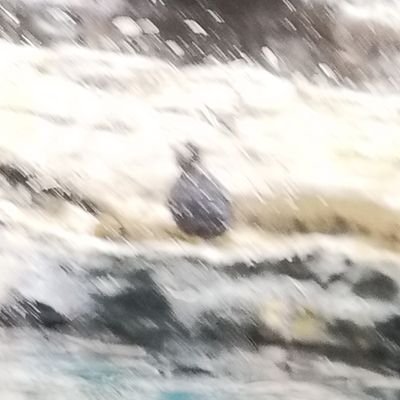 ランタン・カンテラさんのプロフィール画像