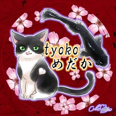 チョコ助さんのプロフィール画像