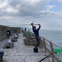 ソフめー (@soft_fishing) 's Twitter Profile