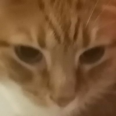 jamie14377865's profile picture. 