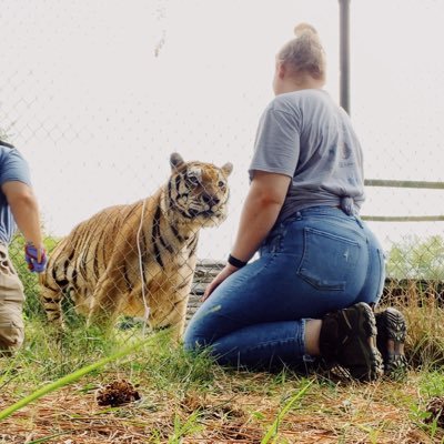 I post pictures of cats | Comms Director @NCTigerRescue | M.S. Parks, Recreation, and Tourism Management, Clemson University 💜🐅🧡 | views are my own