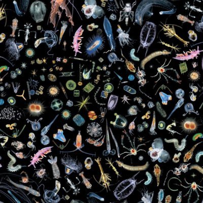 mrcb66's profile picture. 