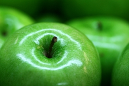 A career in Plant Pathology is not just a job, but an ongoing adventure to unlock the secrets of life!