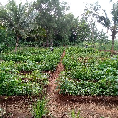 Jardinier paysagiste investir dans la transition Agro-ecologie