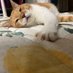 TOM 🙀follow back 100% (@f4fevery1) Twitter profile photo TOM 🙀follow back 100% (@f4fevery1) Twitter profile photo