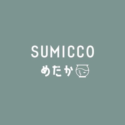 ◼︎品質重視◼︎自然に近い環境で強いめだかづくり◼︎めだか養殖場 ◼︎福岡県大牟田市の道の駅でめだか出品&ネット販売◼︎全国発送◼︎下記公式LINEにてめだか販売中▼🐟🎊