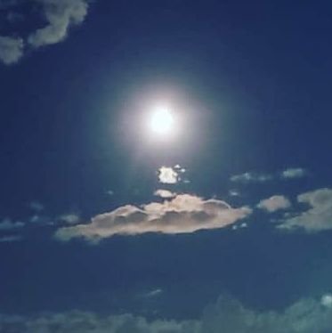 MarkoZeeko's profile picture. 