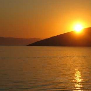 faceandaname's profile picture. Don't follow your dreams. Follow me.