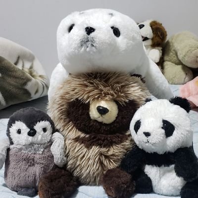 N_Nao10_21's profile picture. 事業が手広いメーカー/どこぞのお寺の若和尚/二足のわらじ