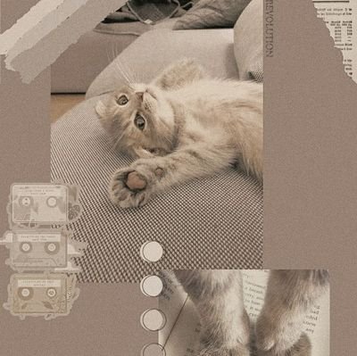 sare00035837's profile picture. Yok