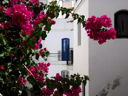 Spanish tour guide, I love travelling, languages,photography and my charming village situated in the Alpujarra area.