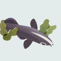 🌱Newt🌿 (@scuffednewt) 's Twitter Profile