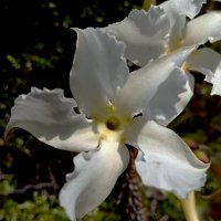 FMH Madagascar (@fmhlmadagascar) 's Twitter Profile
