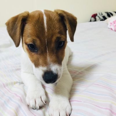 ginawamanuke's profile picture. 