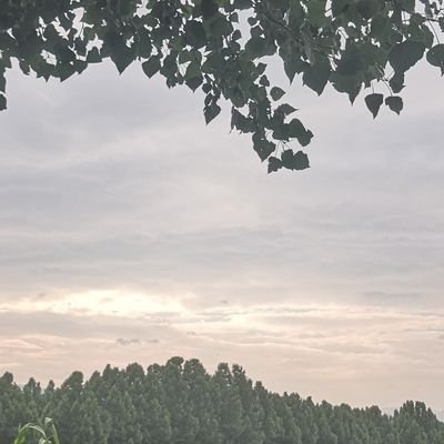 whsymyrcw555's profile picture. 