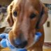 Ky Adams (@kyadamsbooks) Twitter profile photo Ky Adams (@kyadamsbooks) Twitter profile photo