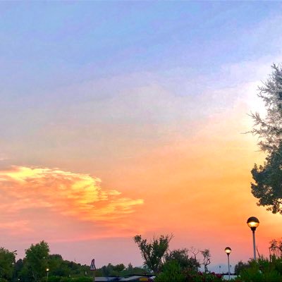 EmZo97190994's profile picture. 