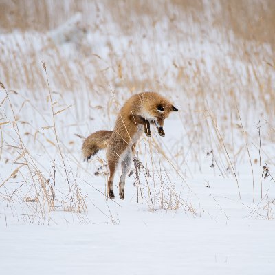 I_eye_ai_me's profile picture. 해킹한 씨발놈 진짜 디진다.