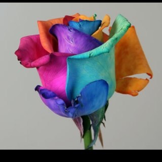 FloresdmiJardin's profile picture. ♥️SOMOS UNA FAMILIA ESPECIALIZADA EN EL ARTES DE ARREGLOS FLORALES PARA TODAS LAS OCASIONES♥️