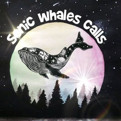 callssonicwhale Profile Picture